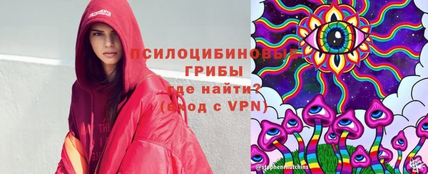 молекула духа Семёнов