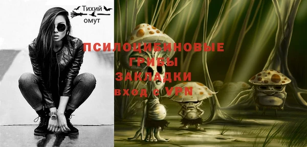 ПСИЛОЦИБИНОВЫЕ ГРИБЫ Семикаракорск